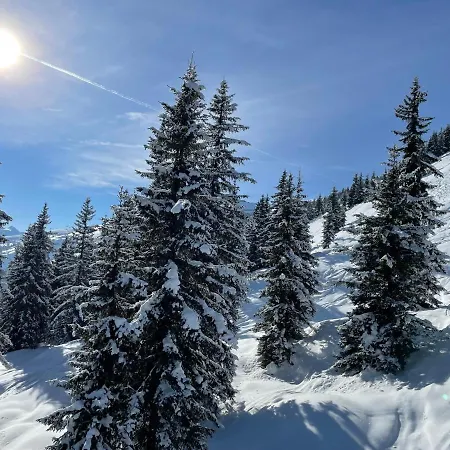 アパート Schwaiger