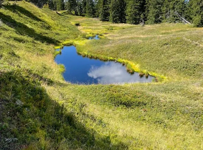 Appartement Schwaiger
